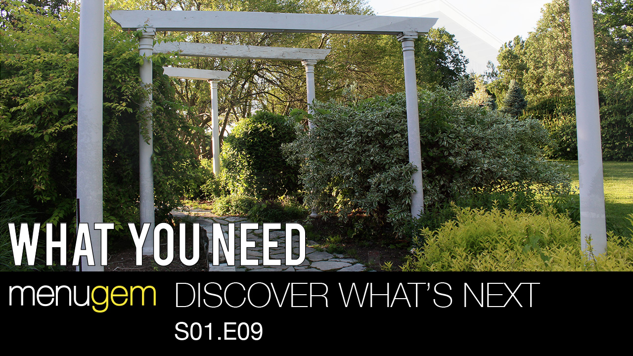 What You Need - Discover What's Next S01.E09