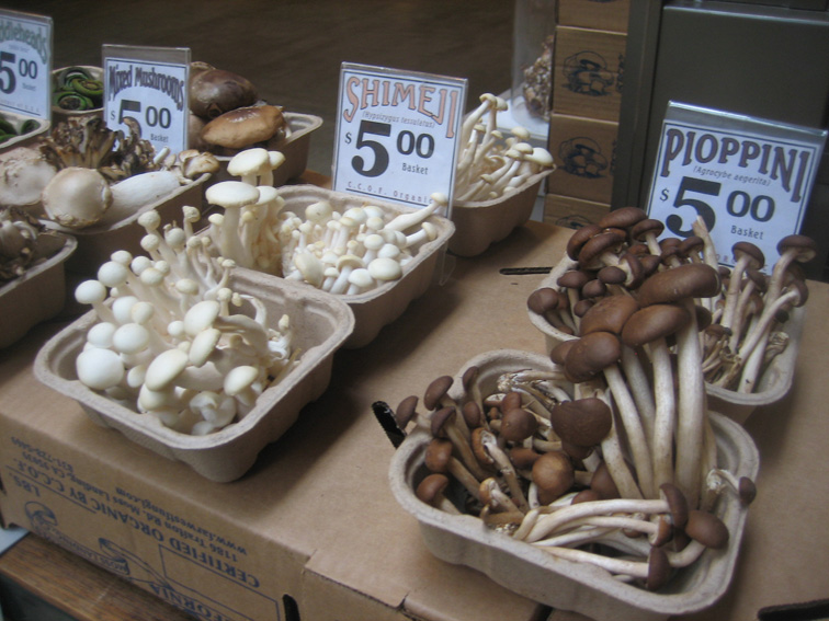 far_west_fungi far_west_fungi