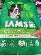 Iams Proactive Health Minichunks 15 lb bag