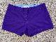 J.Crew Womens Chino Broken-In Purple Shorts Size 8